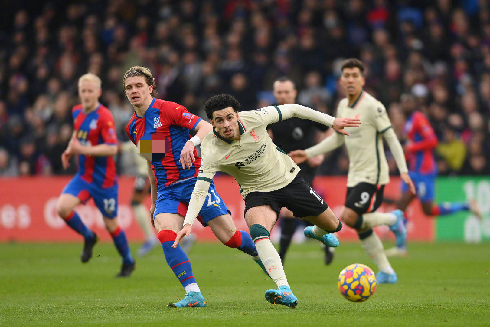 了莫大的提 了莫大的提